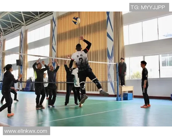 杨芳独家分享排球心得与技巧助你提升球技的秘诀与经验