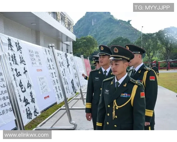 武汉乒乓球队的奋斗历程与荣耀时刻的真实记录与回顾