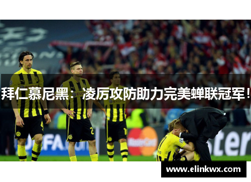 拜仁慕尼黑：凌厉攻防助力完美蝉联冠军！