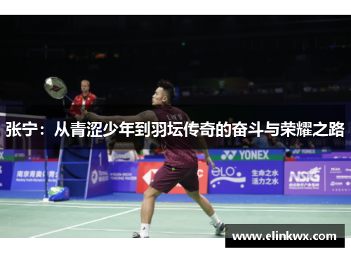 张宁：从青涩少年到羽坛传奇的奋斗与荣耀之路