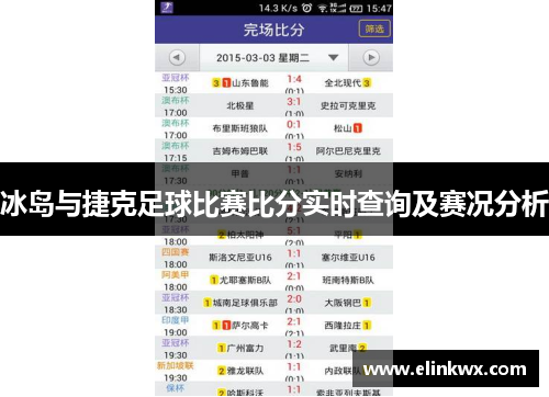 冰岛与捷克足球比赛比分实时查询及赛况分析